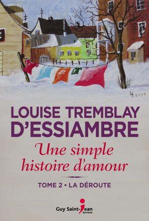 Cover of the book Une simple histoire d'amour, tome 2 by Louise Tremblay d'Essiambre