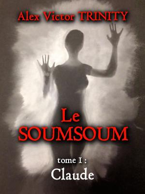 Cover of the book Le SOUMSOUM by Diane Carey