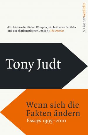 Cover of the book Wenn sich die Fakten ändern by Dr. Stefan Klein