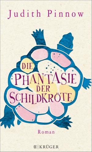 Cover of the book Die Phantasie der Schildkröte by Katharina Hacker