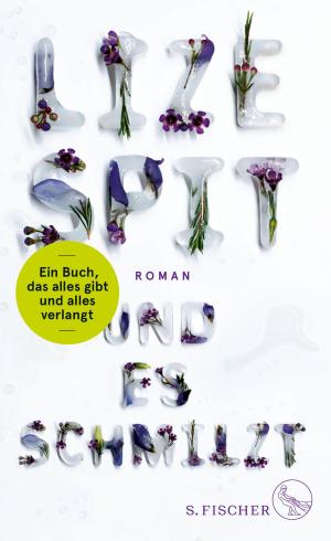 Cover of the book Und es schmilzt by Stefan Klein