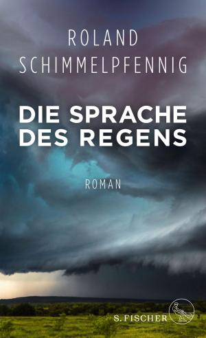 Book cover of Die Sprache des Regens