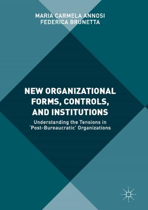 Cover of the book New Organizational Forms, Controls, and Institutions by Domenico Solimini