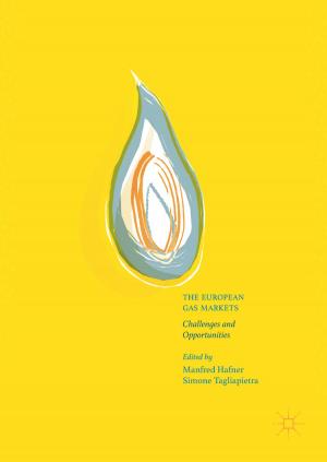 Cover of the book The European Gas Markets by Tsviatko Rangelov, Petia Dineva, Dietmar Gross, Ralf Müller