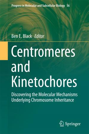 Cover of the book Centromeres and Kinetochores by Joseph N. Pelton
