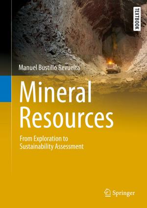 Cover of the book Mineral Resources by Dirk Knaust