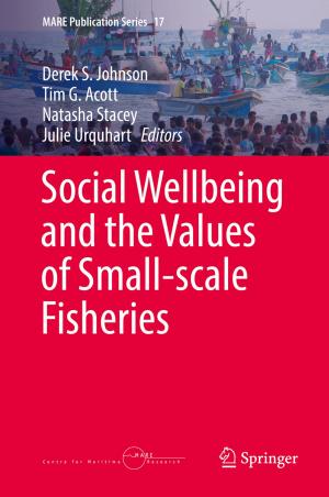 Cover of the book Social Wellbeing and the Values of Small-scale Fisheries by Ricardo Martins, Nuno Lourenço, Nuno Horta