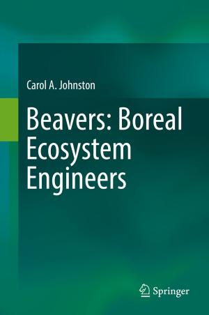 Cover of the book Beavers: Boreal Ecosystem Engineers by Orit Hazzan, Ronit Lis-Hacohen
