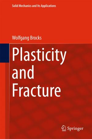 Cover of the book Plasticity and Fracture by Giovanni F. Bignami