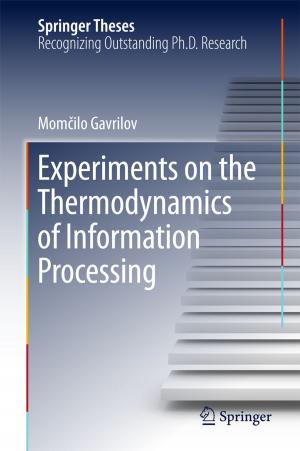 Cover of the book Experiments on the Thermodynamics of Information Processing by Santiago Erroz-Ferrer