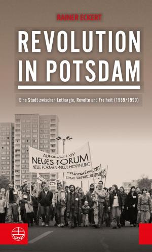 Book cover of Revolution in Potsdam