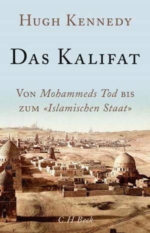 Cover of the book Das Kalifat by Christophe Galfard