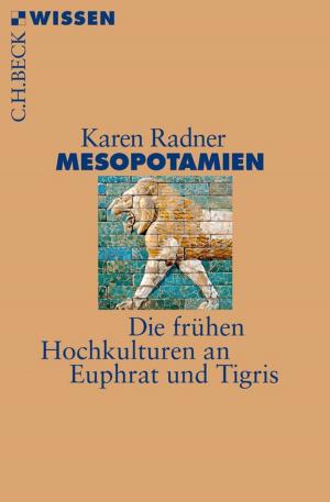 Cover of the book Mesopotamien by Gerald J. Preißler, Peter R. Preißler