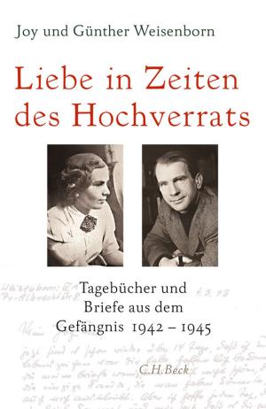 Cover of the book Liebe in Zeiten des Hochverrats by Muriel Asseburg, Jan Busse