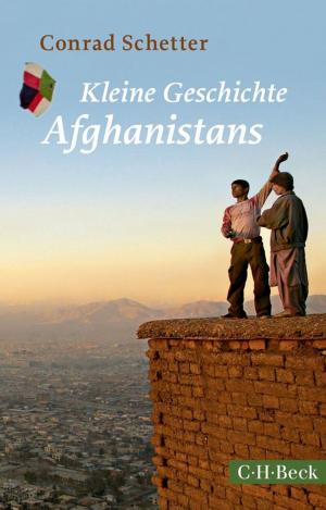 Cover of the book Kleine Geschichte Afghanistans by Jürgen Sarnowsky