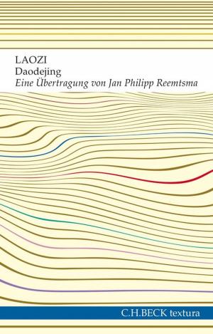 Cover of the book Daodejing by Bernd Stöver