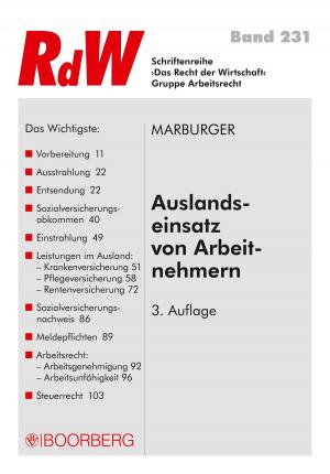 Cover of the book Auslandseinsatz von Arbeitnehmern by Axel Benning, Jörg-Dieter Oberrath