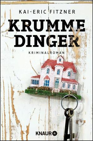 Cover of the book Krumme Dinger by Katryn Berlinger