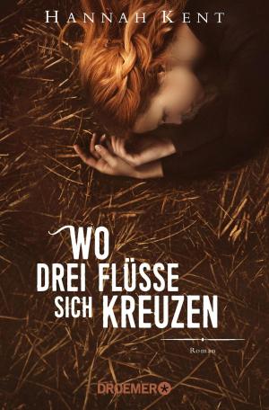 Cover of the book Wo drei Flüsse sich kreuzen by Jack Ewing