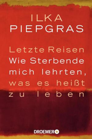 Cover of the book Wie ich einmal auszog, den Tod kennenzulernen, und dabei eine Menge über das Leben erfuhr by Sebastian Fitzek