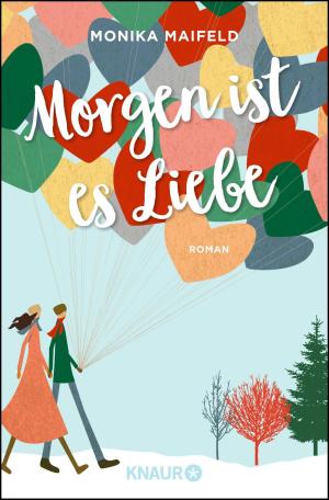 Cover of the book Morgen ist es Liebe by Harald Gilbers