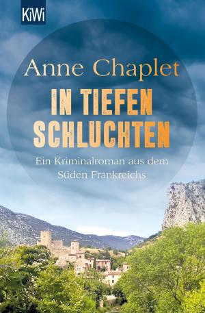 Cover of the book In tiefen Schluchten by Peter Härtling