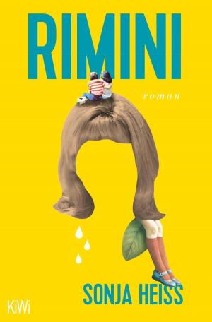 Cover of the book Rimini by Patrisse Khan-Cullors, asha bandele
