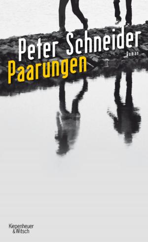 Cover of the book Paarungen by Michael Chabon