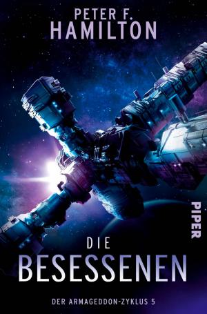 Cover of the book Die Besessenen by Anita Shreve