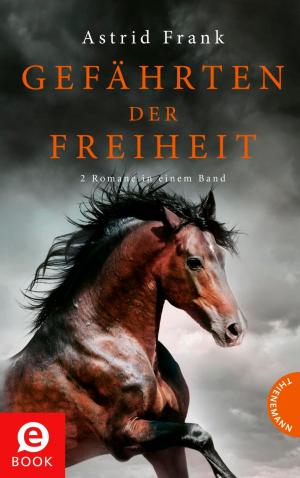 Cover of the book Gefährten der Freiheit by Víctor Conde, bürosüd° GmbH