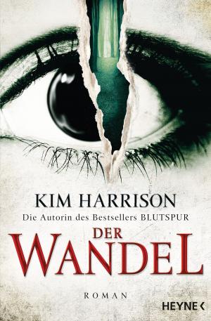 Cover of the book Der Wandel by 傑瑞．李鐸(A. G. Riddle)
