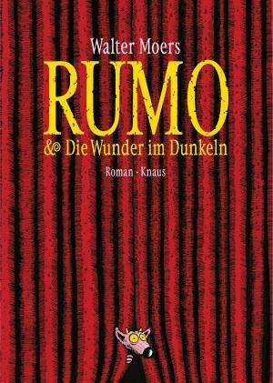 Cover of the book Rumo & die Wunder im Dunkeln by Katinka Buddenkotte