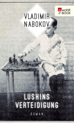 Cover of the book Lushins Verteidigung by Janwillem van de Wetering