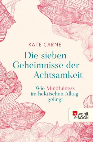 Cover of the book Die sieben Geheimnisse der Achtsamkeit by Hinrich Lührssen