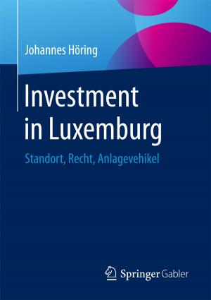 Cover of the book Investment in Luxemburg by Andreas Györy, Anne Cleven, Günter Seeser, Falk Uebernickel, Walter Brenner