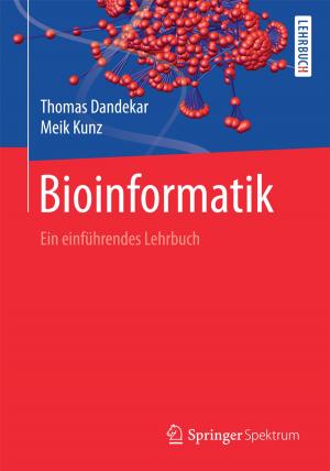 Cover of the book Bioinformatik by Rudolf Huebener
