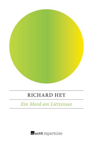 Book cover of Ein Mord am Lietzensee