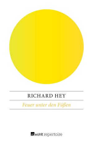 Cover of the book Feuer unter den Füßen by Norbert Klugmann, Peter Mathews