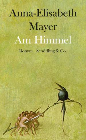 Cover of the book Am Himmel by Mirko Bonné