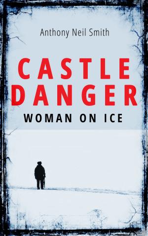 Cover of the book Castle Danger - Woman on Ice by Sascha Vennemann