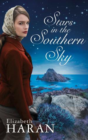 Cover of the book Stars in the Southern Sky by Andreas Kufsteiner