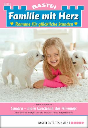 Book cover of Familie mit Herz - Folge 03