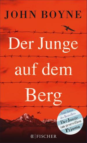 Cover of the book Der Junge auf dem Berg by Cristina Chiperi