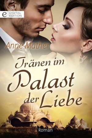 Book cover of Tränen im Palast der Liebe