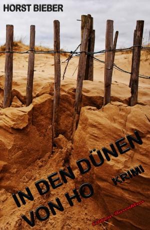 Cover of the book In den Dünen von Ho: Krimi by Larry Lash