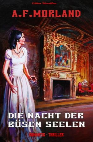 Cover of the book Die Nacht der bösen Seelen by Rittik Chandra