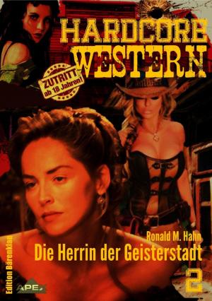 Cover of the book DIE HERRIN DER GEISTERSTADT by Douglas R. Mason