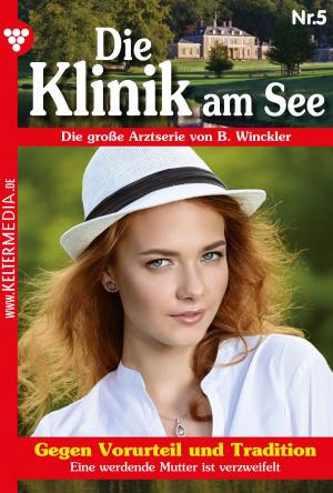 Cover of the book Die Klinik am See 5 – Arztroman by Britta Winckler