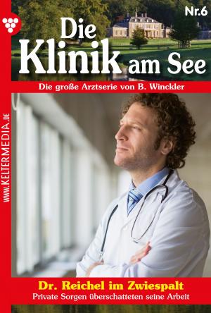 Cover of the book Die Klinik am See 6 – Arztroman by Toni Waidacher