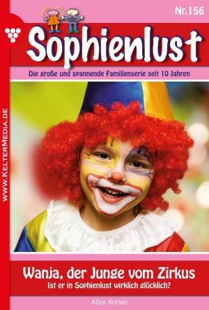 bigCover of the book Sophienlust 156 – Familienroman by 